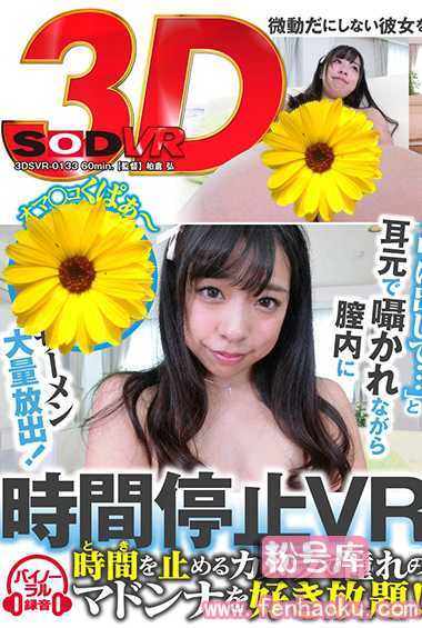 13dsvr00133