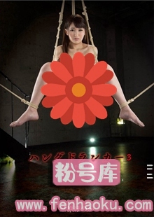 13gvg00349
