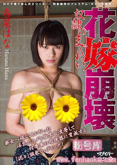 171smsd00015
