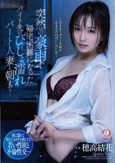 1dldss00156
