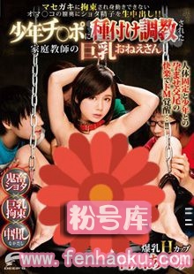 1dvdes00951