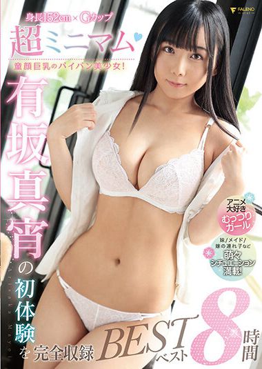 1fcdss00017