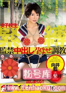 1iene00703
