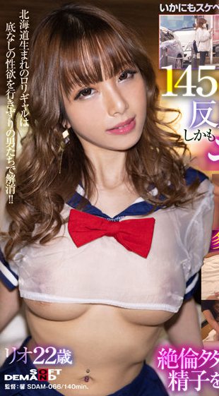 1sdam00066