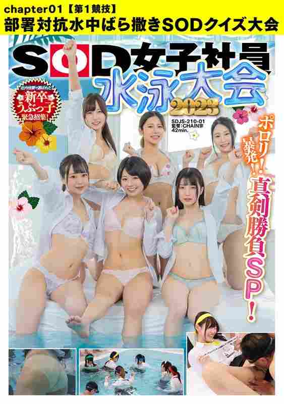 1sdjs21001