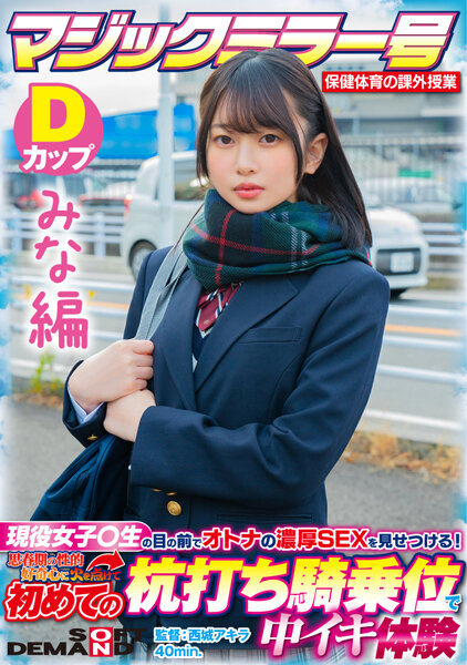 1sdmm13201
