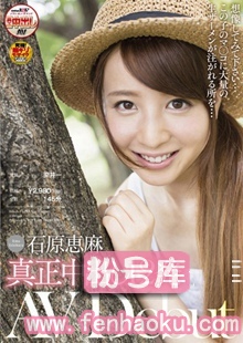 1sdmu00393