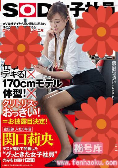 1sdmu00595