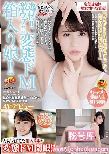 1sdmu00818