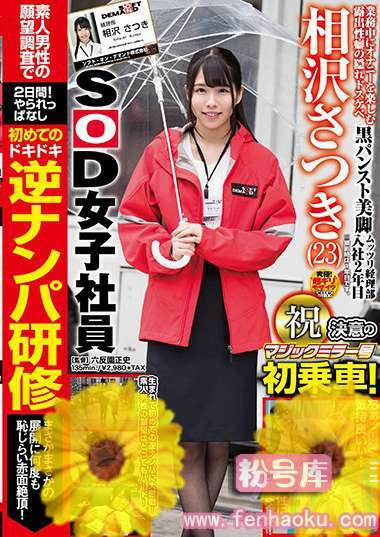 1sdmu00819