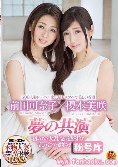 1sdnm00111