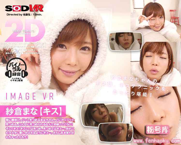 1sodvr00054