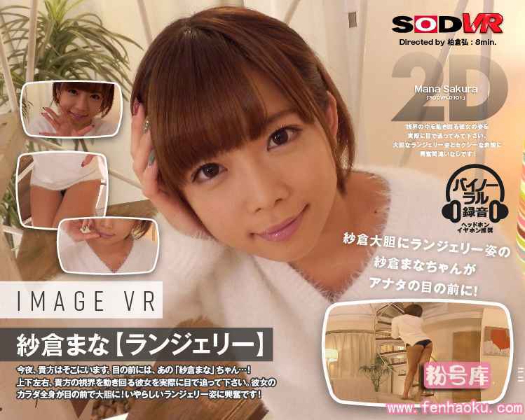 1sodvr00101