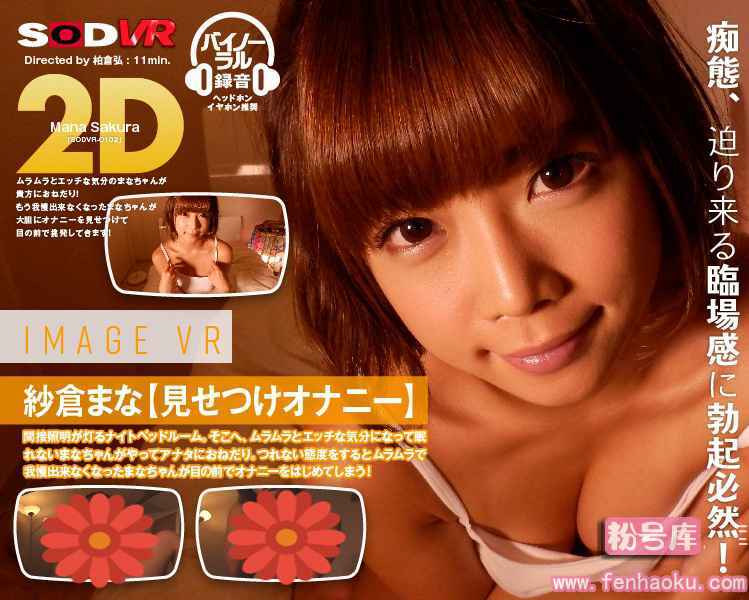 1sodvr00102