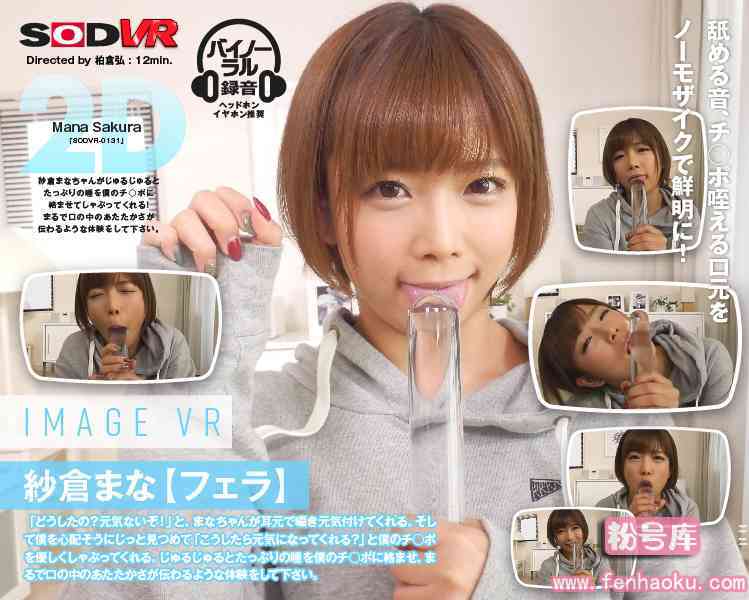 1sodvr00131