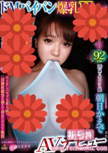 49nitr00241