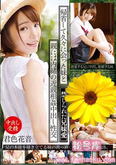 55t2800517