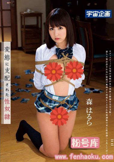 61mds00816