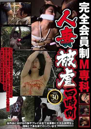 86axdvd00202r