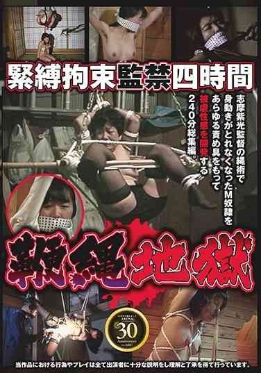 86axdvd00205r
