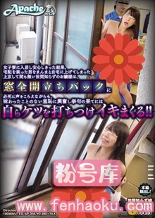 ap00308