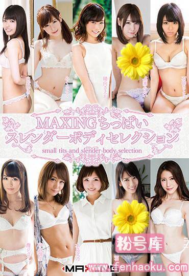 h_068mxsps00605