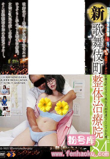 h_101gs01907