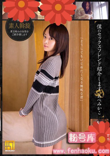 h_1067bkkg00014