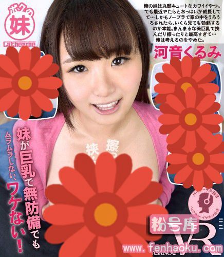 h_1116caca00060