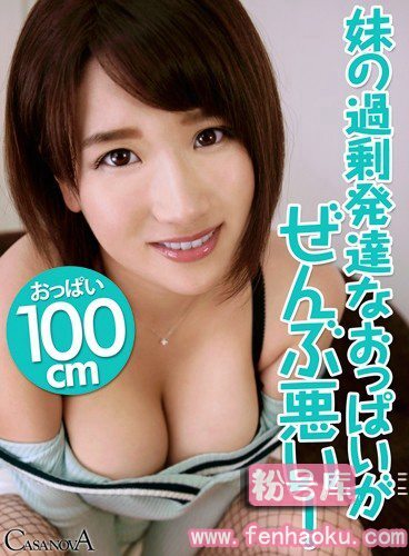 h_1116cafr00015