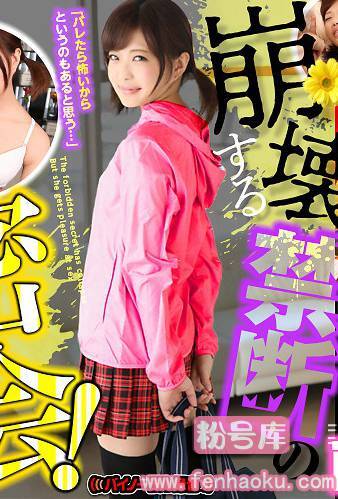h_1127gopj00185