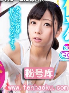 h_1127gopj00304
