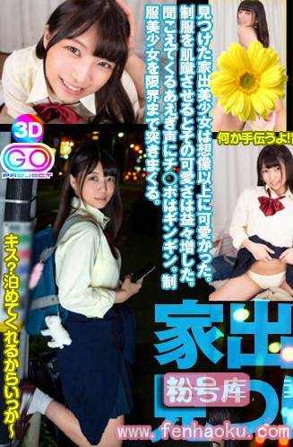 h_1127gopj00318
