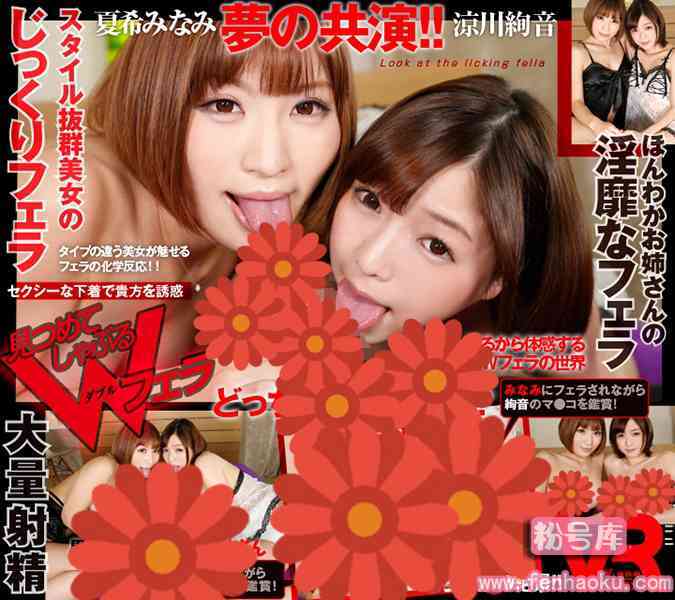 h_1127vovs00022