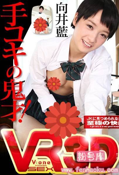 h_1127vovs00095