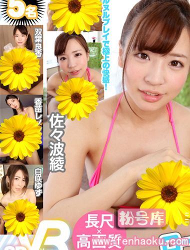 h_1127vovs00273