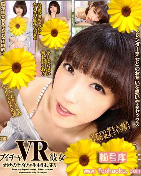 h_1127vovs00311