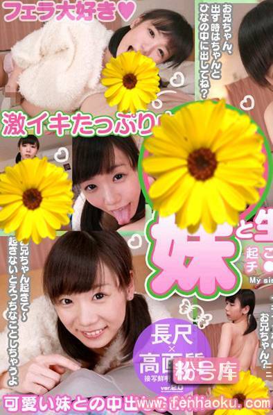 h_1127vovs00336