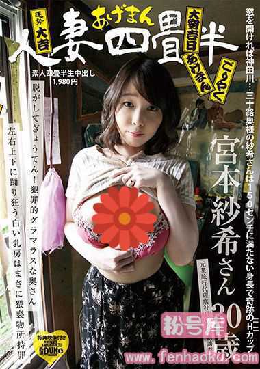 h_113ssy00004