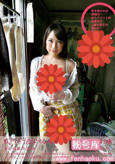 h_113sy00172