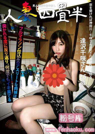 h_113sy00176