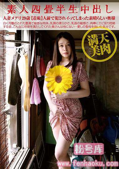 h_113sy00179