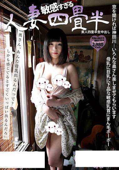 h_113sy00193