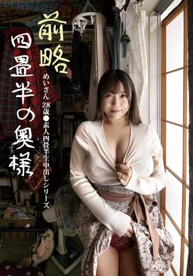 h_113sy212