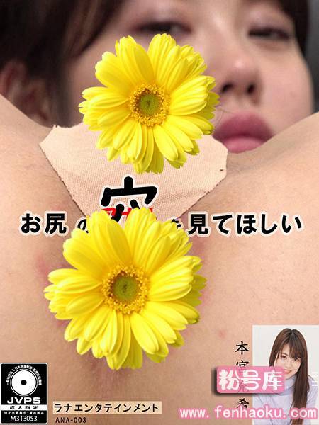 h_1189ana00003