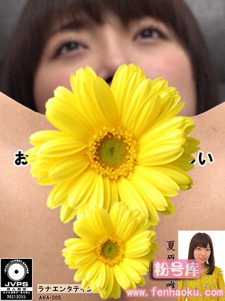 h_1189ana00005