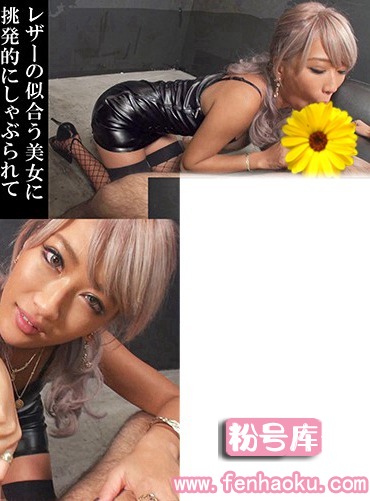 h_1209exfe00058