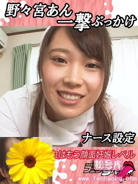 h_1209exfe00060