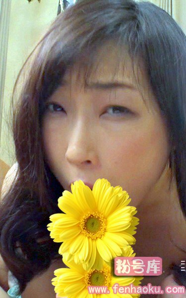 h_1221high00388