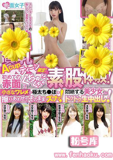 h_1324skmj00065